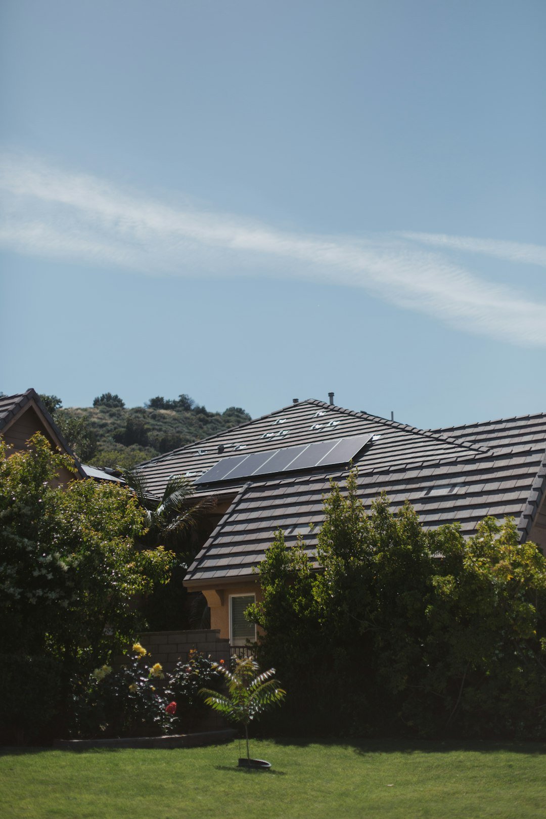 Services Vivint Solar - Solar Panels on home with bushes in backyard.